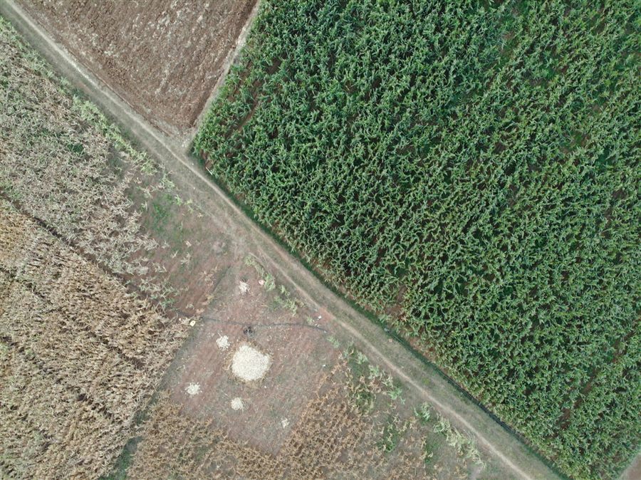 Aerial site capture
